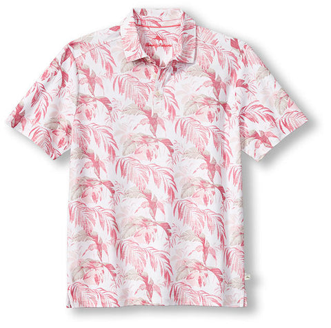Tommy Bahama - Floating Fronds Polo - ST226541